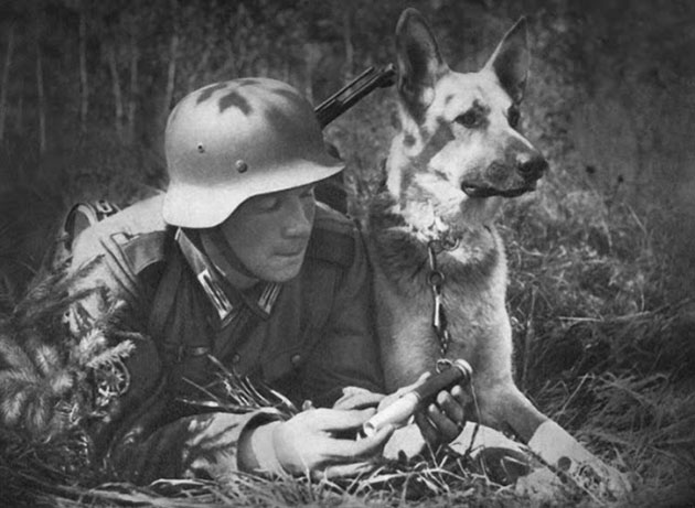 Soldiers and Their Pets in War