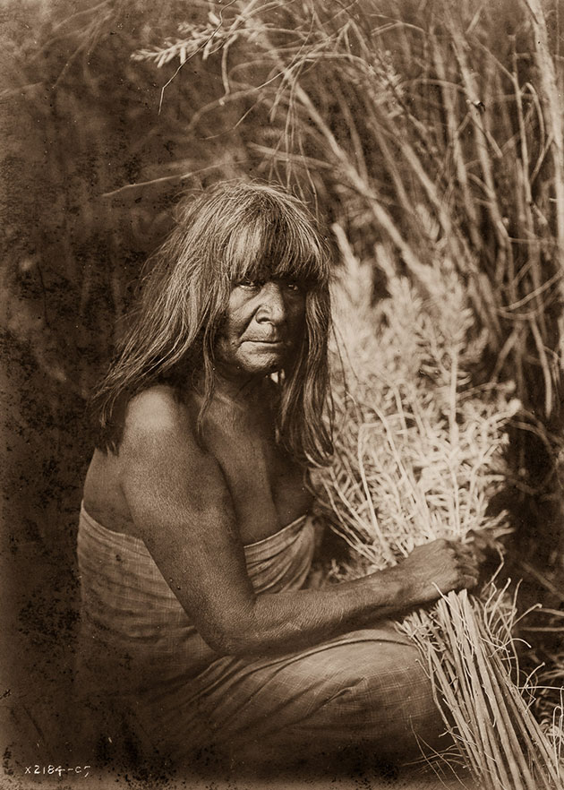 North American Indian
