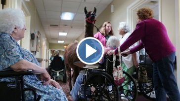 Nursing-Home-Uses-Unusual-Animals