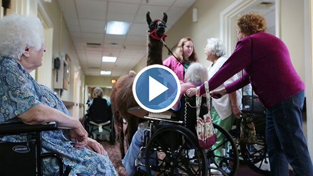 Nursing-Home-Uses-Unusual-Animals