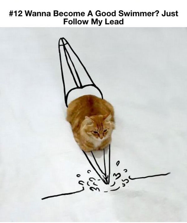 doodles on lovely cat photo