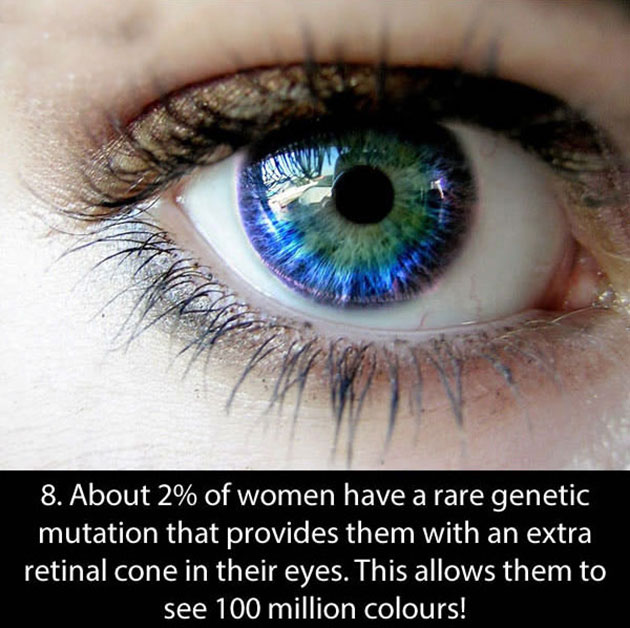 facts about eyes