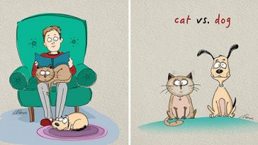 Cats Vs Dogs