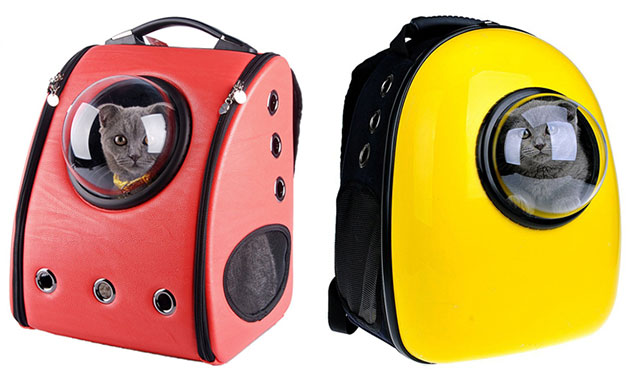 Colorful Cat Backpacks