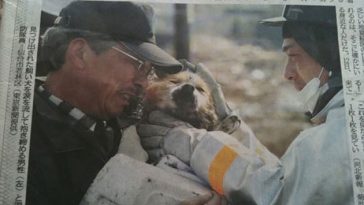 Powerful And Heart-Breaking Photo