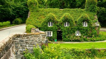 Peaceful Cottages