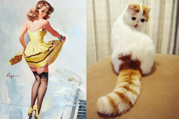 Matching Posing Cats With 1950s Pin-Up Girls