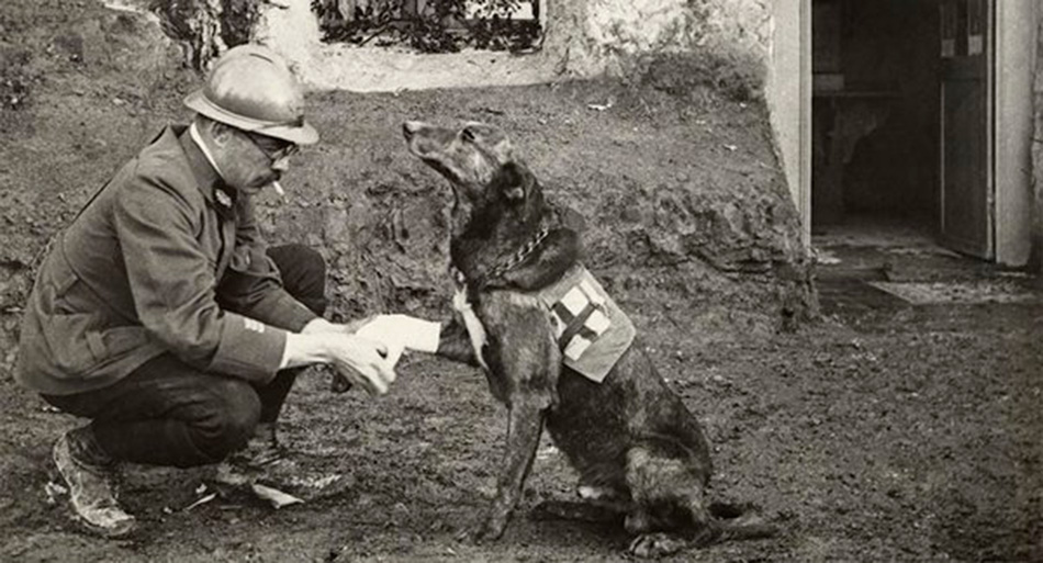interesting historical photos