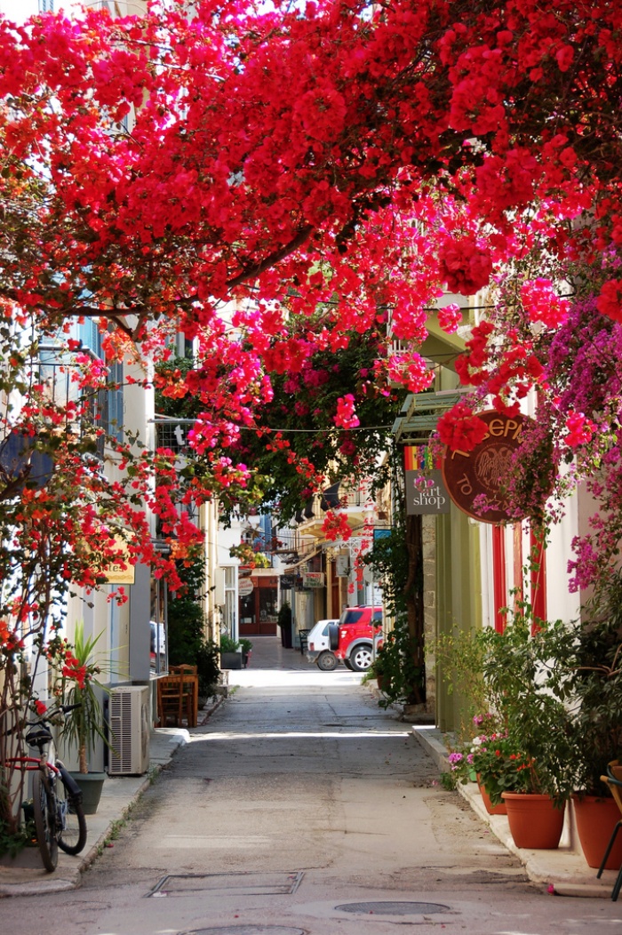 Beautiful Spring Alleys