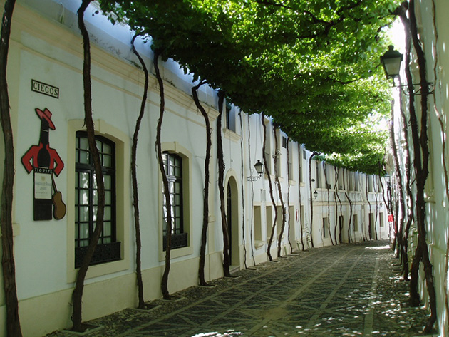 Beautiful Spring Alleys