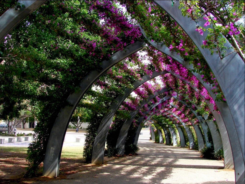 Beautiful Spring Alleys