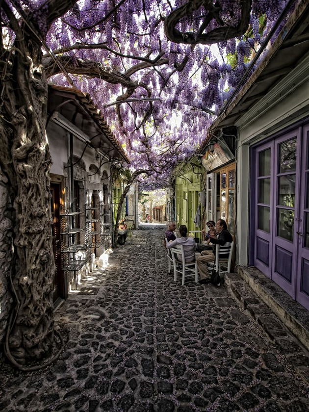Beautiful Spring Alleys