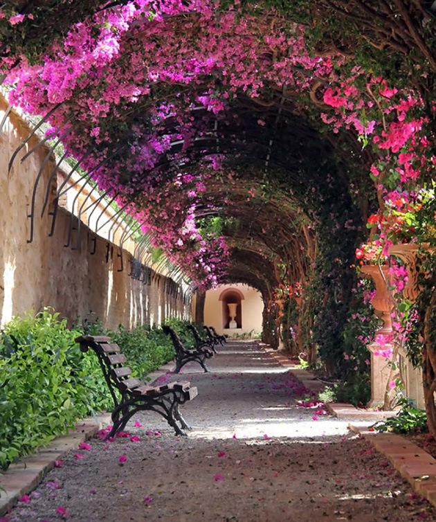 Beautiful Spring Alleys