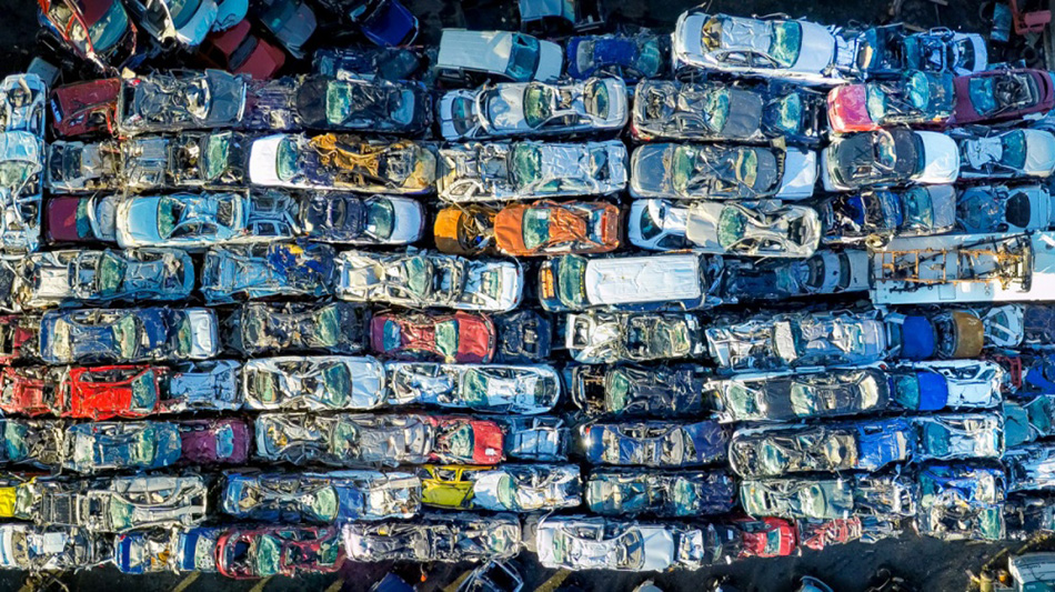 Bird’s Eye View