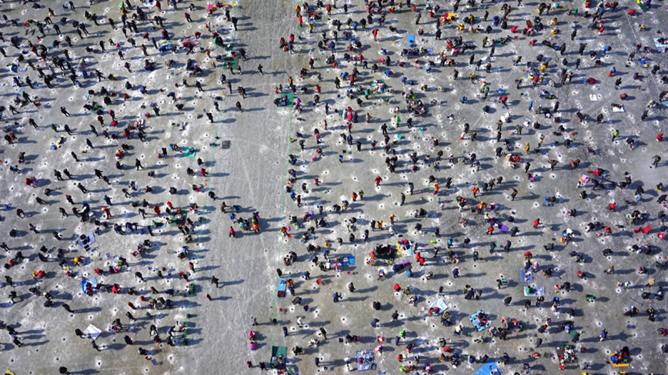 Bird’s Eye View