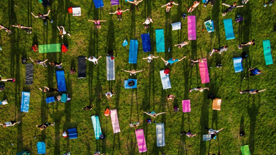 Bird’s Eye View