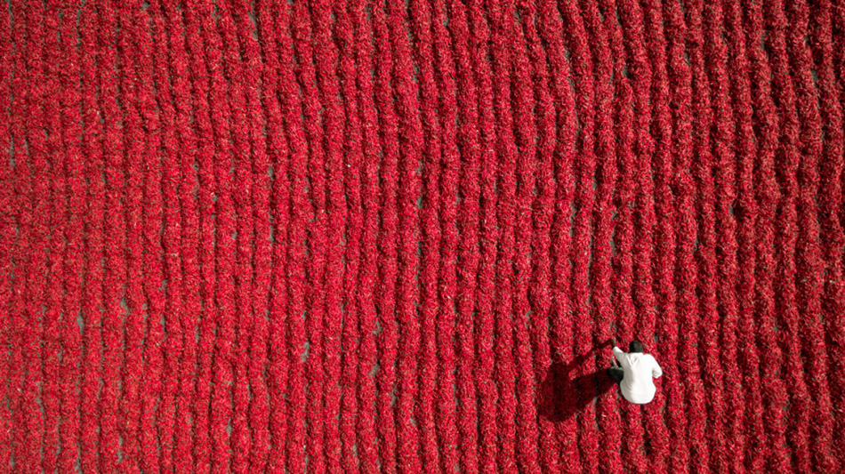 Bird’s Eye View