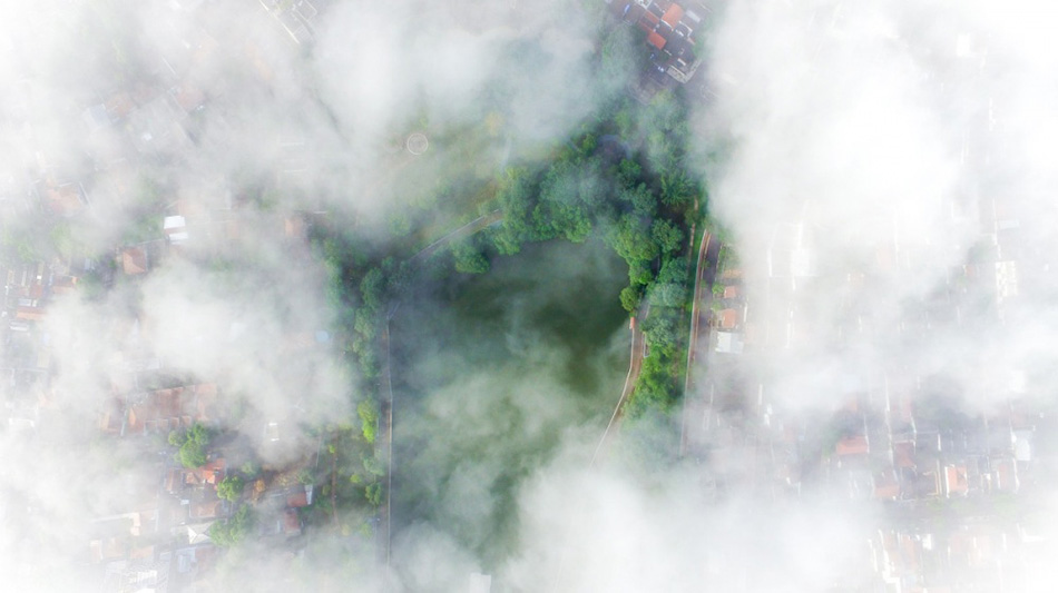 Bird’s Eye View