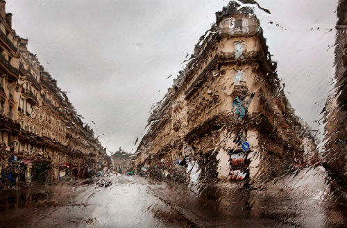 Gorgeous Photos of Rain