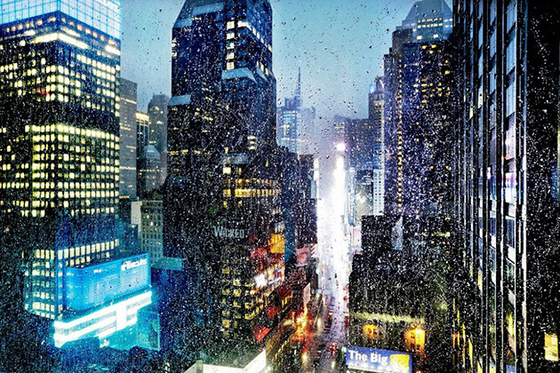 Gorgeous Photos of Rain