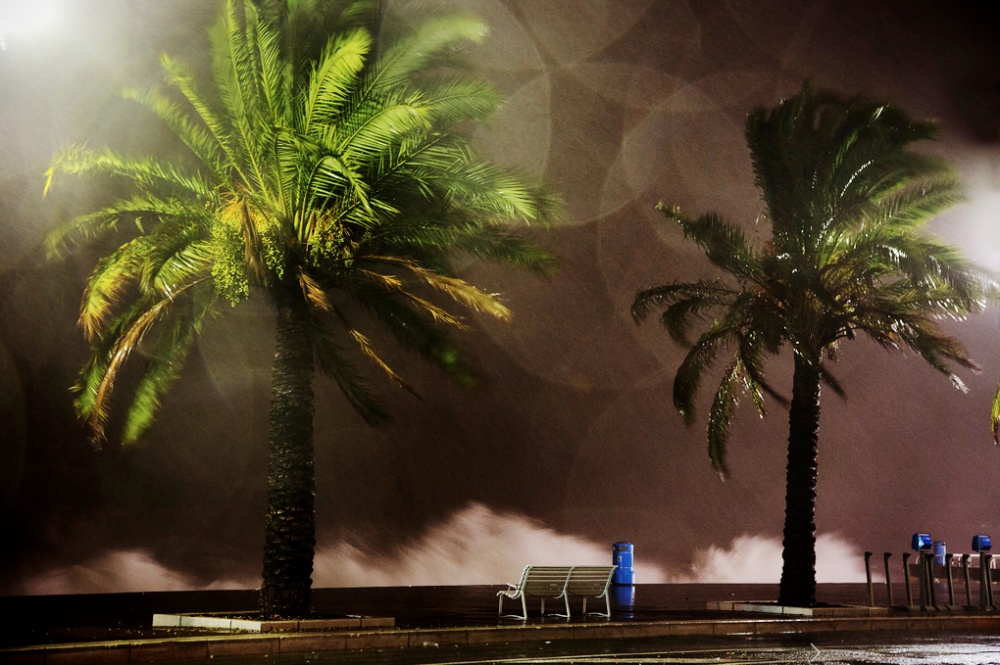 Gorgeous Photos of Rain