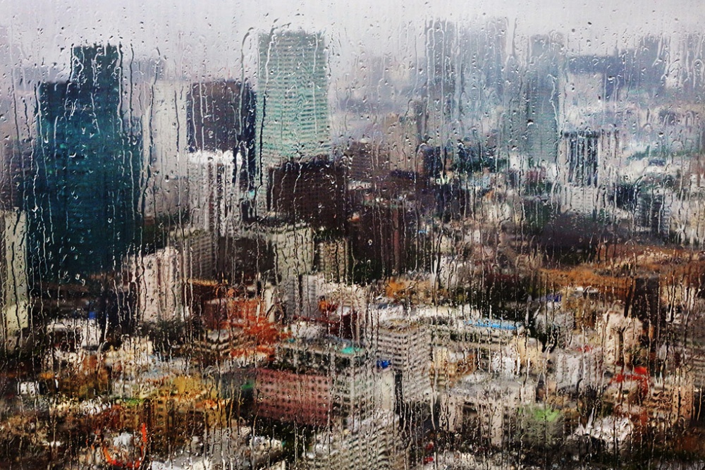 Gorgeous Photos of Rain