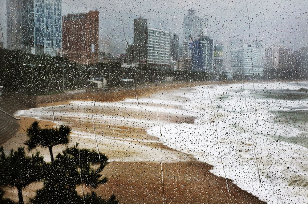 Gorgeous Photos of Rain