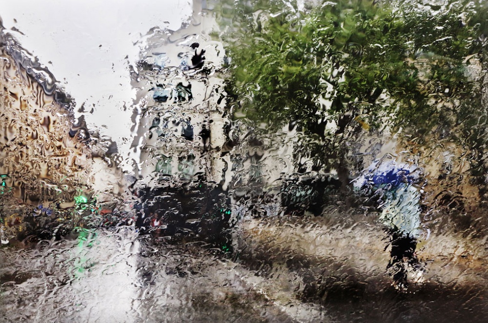 Gorgeous Photos of Rain