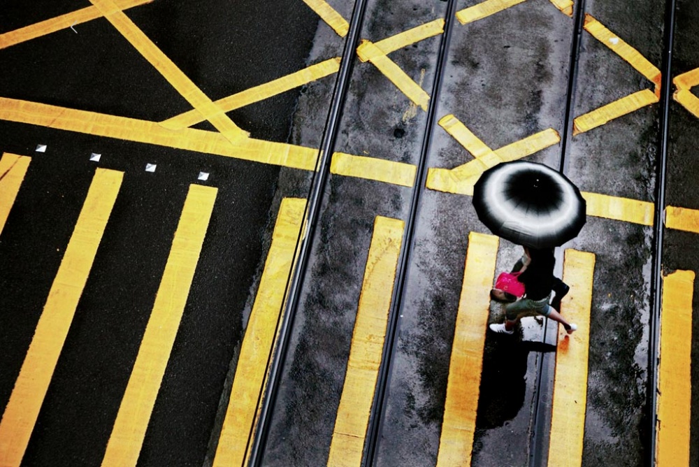 Gorgeous Photos of Rain