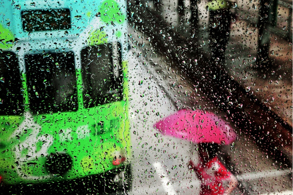 Gorgeous Photos of Rain