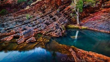 Nature Made Swimming Pool
