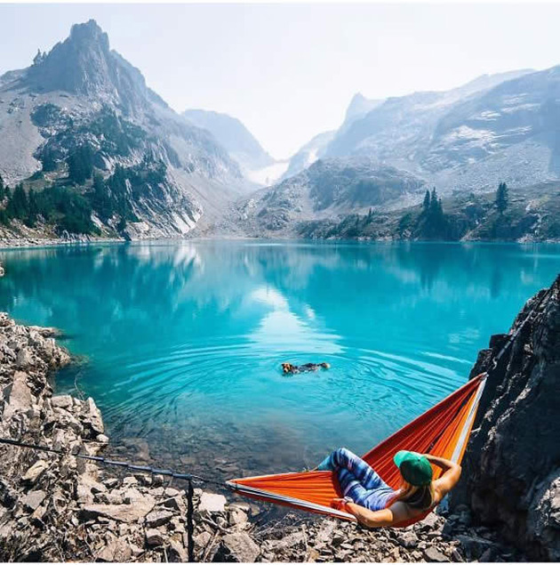Camping With Dogs