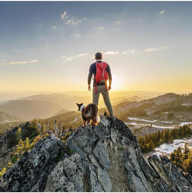 Camping With Dogs