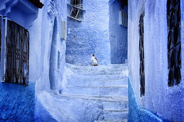 blue-streets-of-chefchaouen-morocco-5