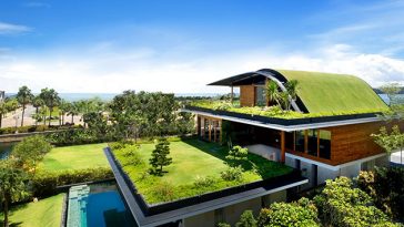 green roofs