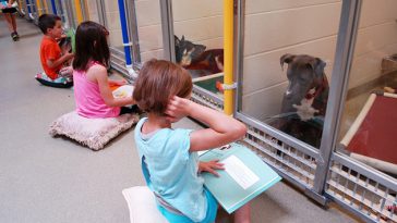 kids-read-shelter-dogs