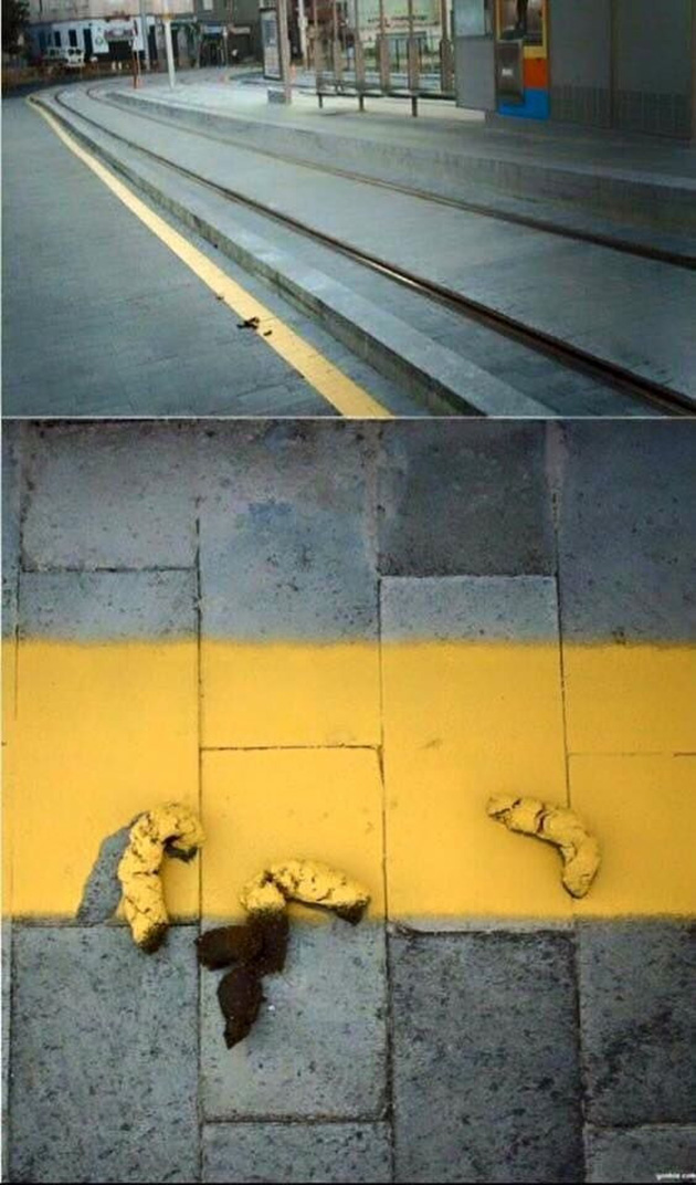 Not My Job awards