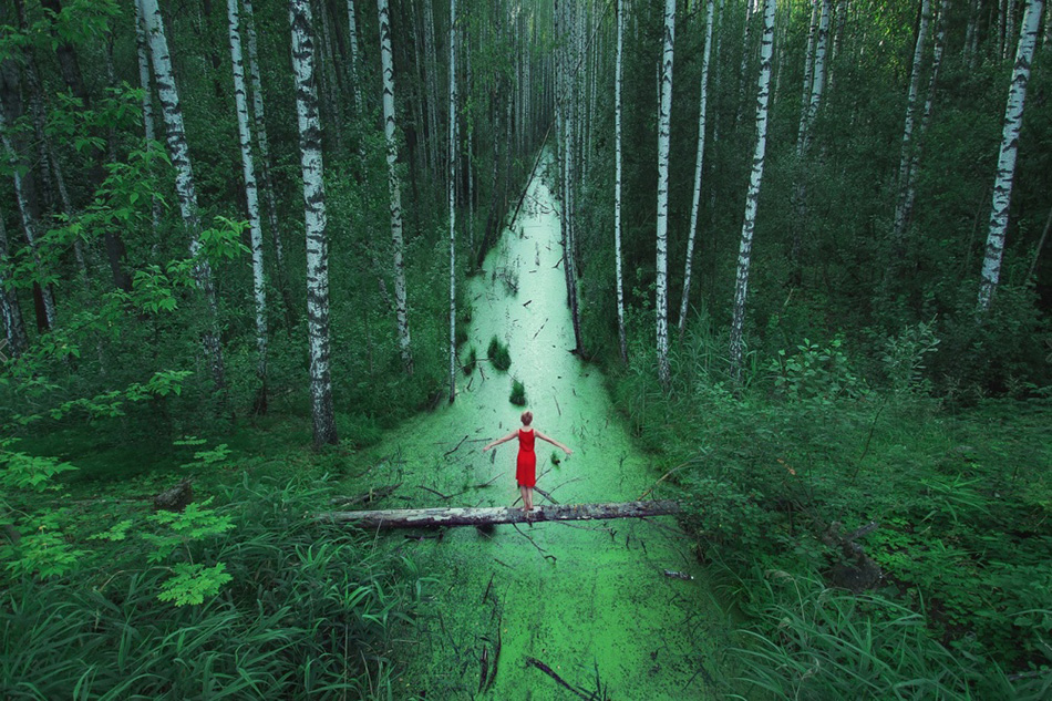 perfect photographs 