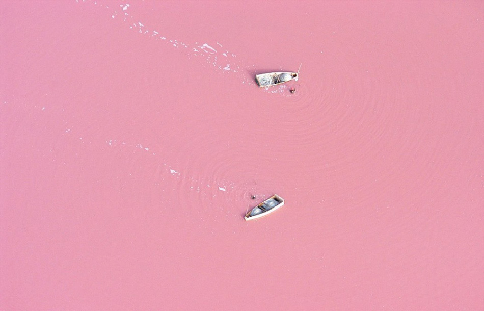 perfect-photographs-20