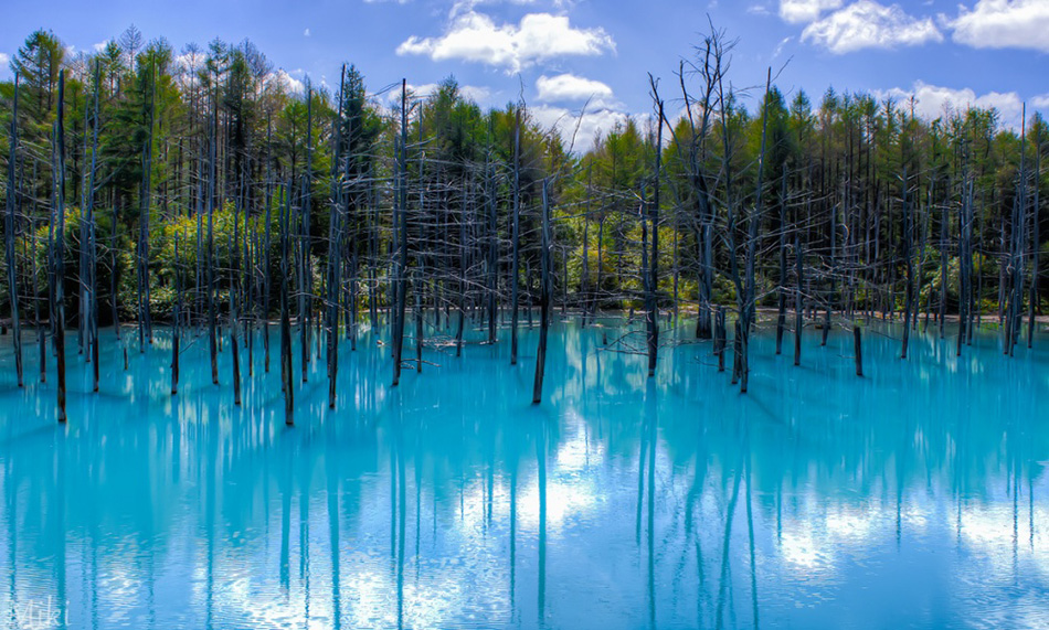 perfect photographs 