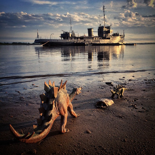 Travel Photos With Dinosaur Toys