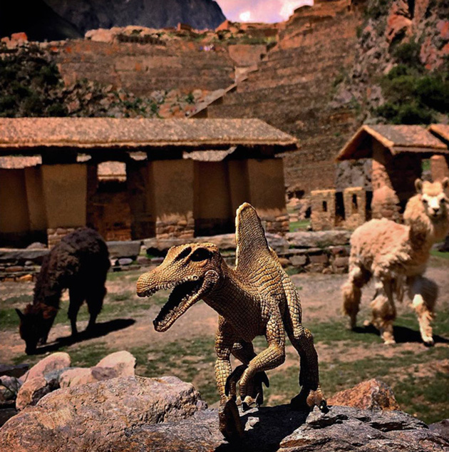 Travel Photos With Dinosaur Toys