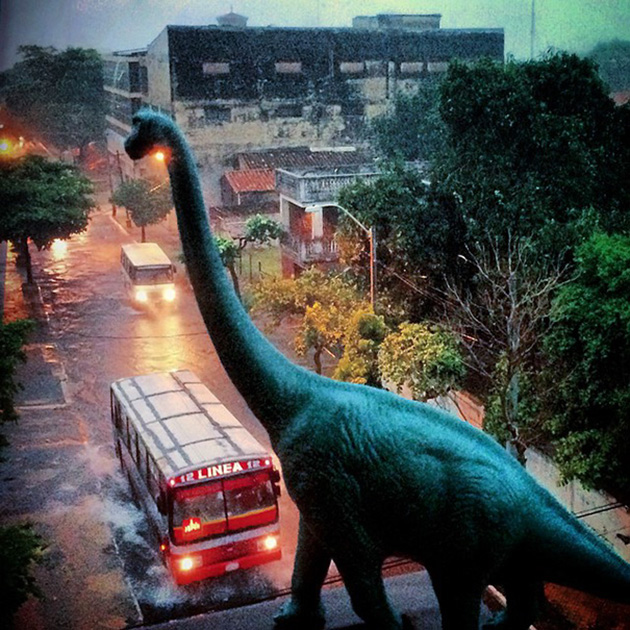 Travel Photos With Dinosaur Toys