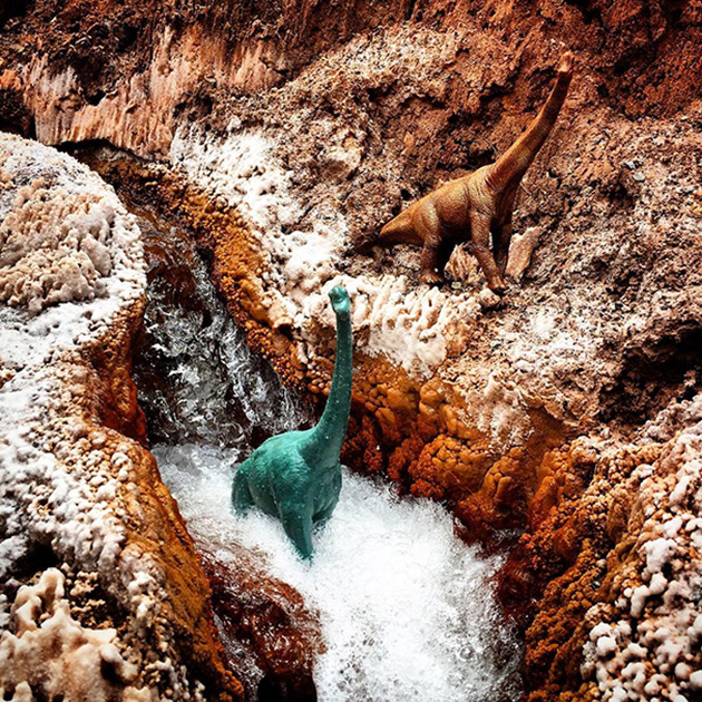 Travel Photos With Dinosaur Toys
