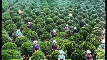 japan 20th century colorized pictures