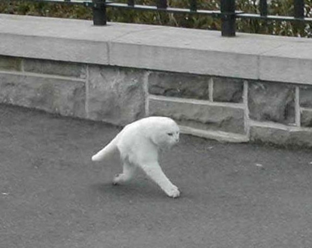 wrong panoramic photos