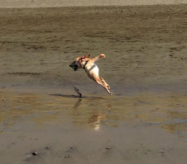 wrong panoramic photos