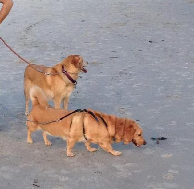 wrong panoramic photos