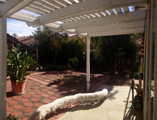 wrong panoramic photos