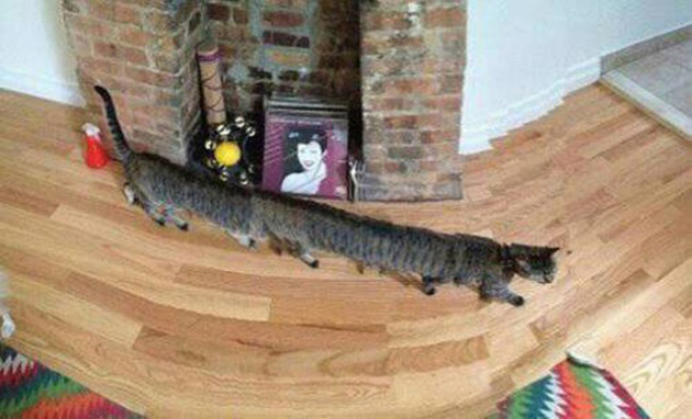 wrong panoramic photos